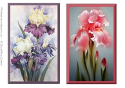 Irises Topper