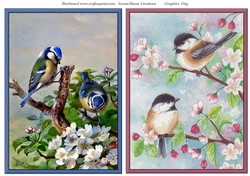 Blue Tits and Cherry Blossom Birds