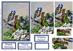 Blue Tits Pyramage