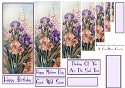 Iris Dreams DL