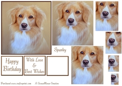 Sparky Pyramid sheet