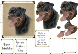 Spud Decoupage