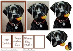 Bruce wants to play ball Decoupage
