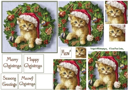 Cute kitty in Wreath Pyramid