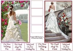 Bridal Arrival and Staircase Bride Toppers
