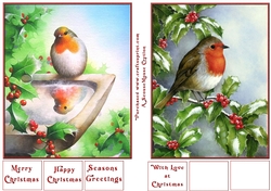 Robin Reflection and Holly Robin Toppers