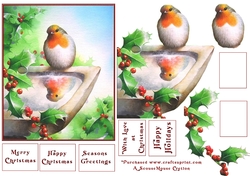 Robin Reflection Decoupage