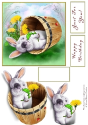 Bunny in a Tub   