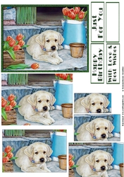 Cute Pups and Flowers Pyramid 2