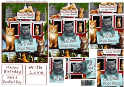 Cats Rule Pyramid