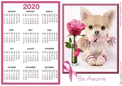 2020 Calendar - Pink Be Aware