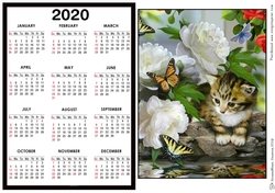 2020 Calendar - Landscape Kitty in the flowers