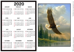 2020 Calendar -  Landscape The Regal Eagle