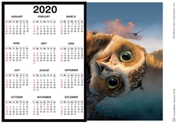 2020 Calendar -  Landscape Well Hello Owl