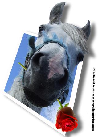 White Horse and Rose 3D Effect Photo Jpeg