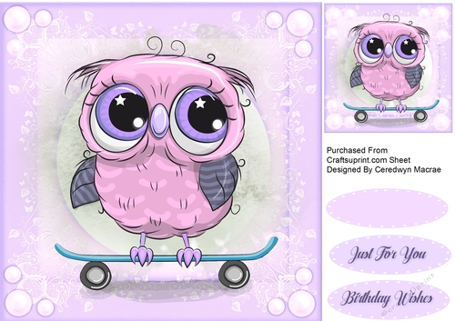  Owls Skate Board 