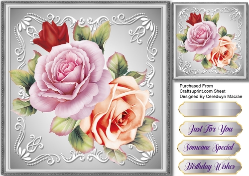 Stunning Lilac and Peach Roses in a silver Frame 