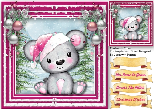 Bear in a Cerise  Hat 