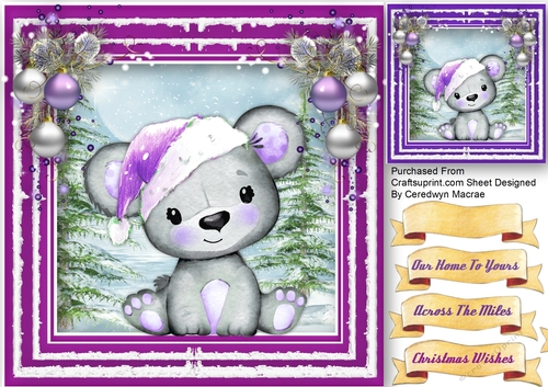 Bear in a Lilac   Hat 