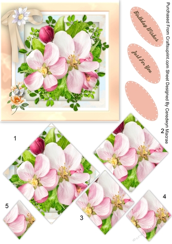 Beautiful Apple Blossom , Pyramid 