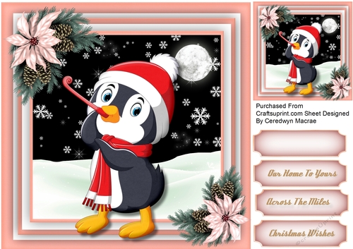 Gorgeous Penguins in the Snow 2