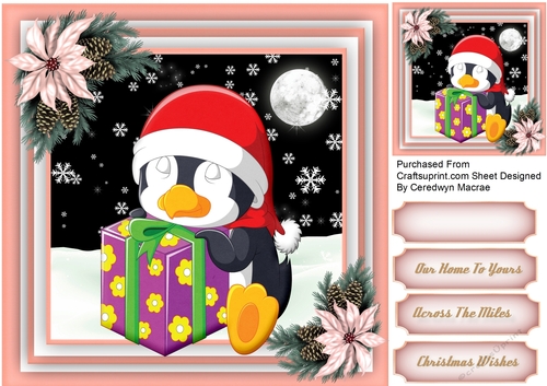 Gorgeous Penguins in the Snow 3