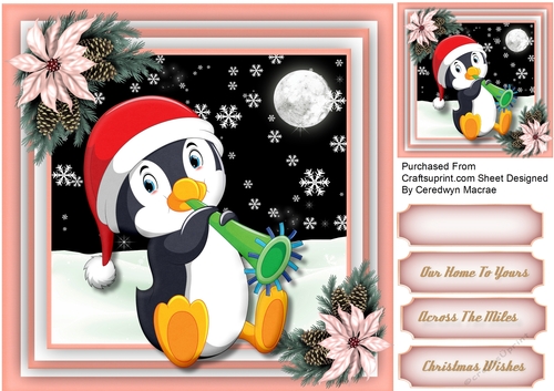 Gorgeous Penguins in the Snow 4