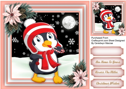Gorgeous Penguins in the Snow 5