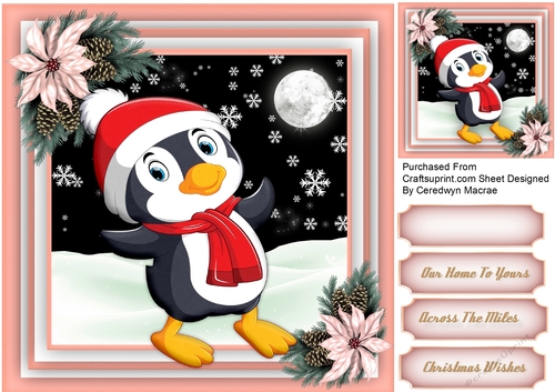 Gorgeous Penguins in the Snow 6