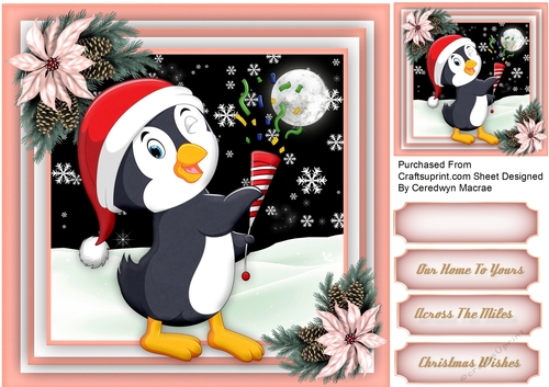 Gorgeous Penguins in the Snow 7