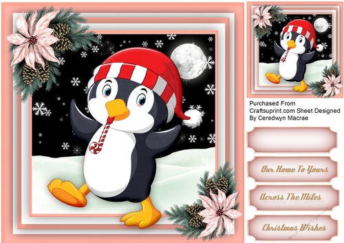 Gorgeous Penguins in the Snow 8