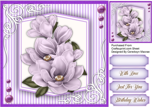 Beautiful Lilac Magnolias and Corner Scrolls 