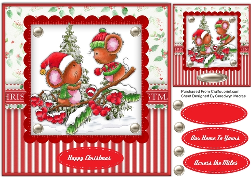 Christmas Catch Mice 