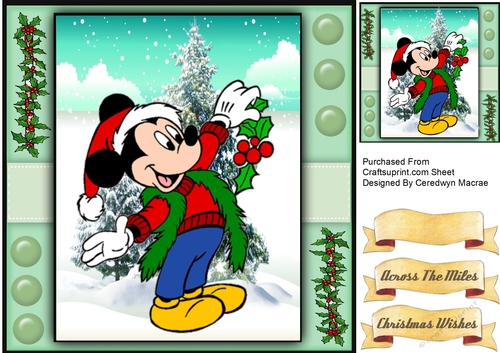 Christmas Holly 