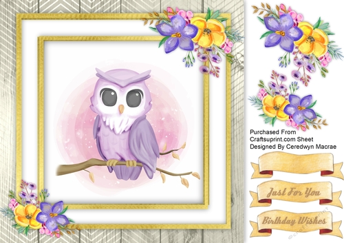Beautiful Water Coloured  Owl 