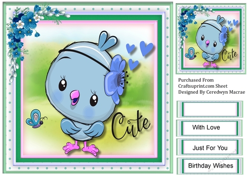 Little  Cutie Blue  Bird 