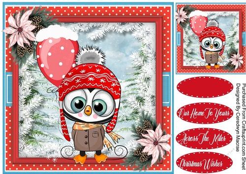 Owl in a Wooly Hat with Balloon 1