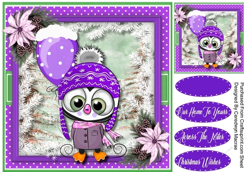 Owl in a Wooly Hat with Balloon  2