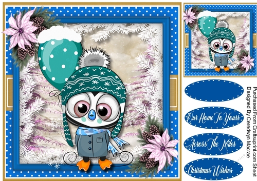 Owl in a Wooly Hat with Balloon  3