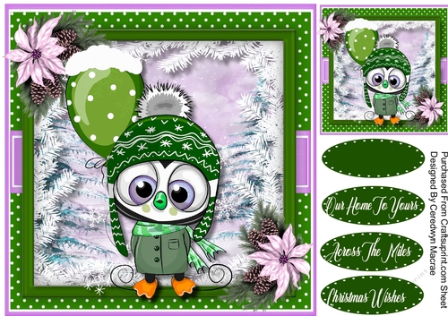 Owl in a Wooly Hat with Balloon  4