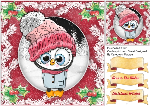 Owl in a Wooly Hat