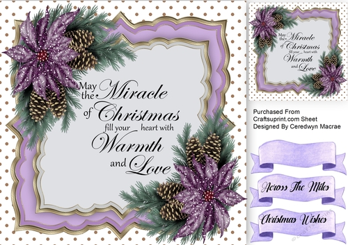 Miracle At Christmas With Poinsettias 