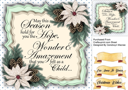 Hope and Wonder  With Poinsettias 
