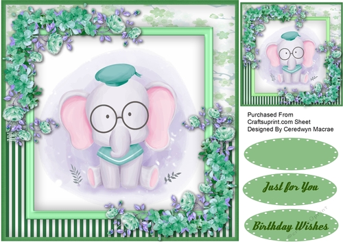 Ellies New Glasses with Blossom 