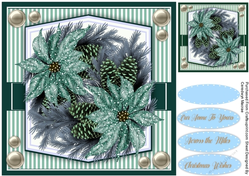 Aqua Poinsettias and Cones 