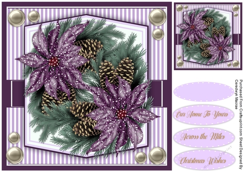 Lilac Poinsettias and Cones 