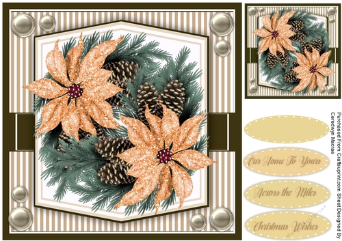 Peach  Poinsettias and Cones 