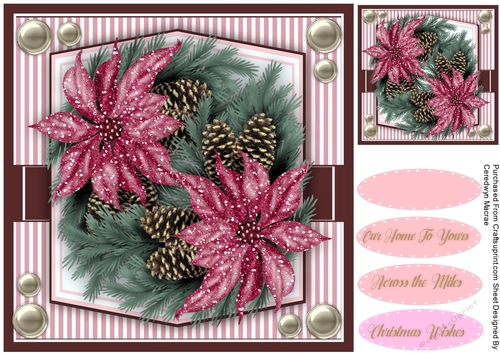 Cerise  Poinsettias and Cones 