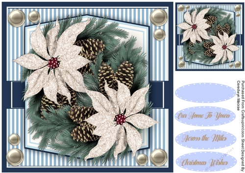 White   Poinsettias and Cones 
