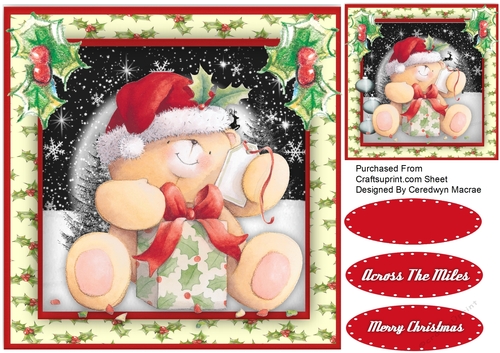 Teds  Christmas Parcel 